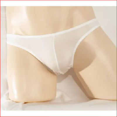 259 Mens Mesh Brief White Medium