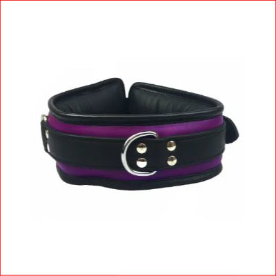 Padded Leather Collar Purple