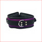 Padded Leather Collar Purple