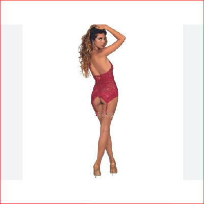 Stretch Lace Garter Slip & G OS