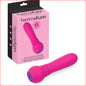 FemmeFunn Ultra Bullet Pink