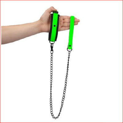 Collar & Leash - Glow in the Dark