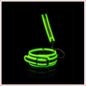 Collar & Leash - Glow in the Dark