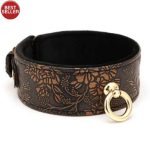 Spartacus Brown Floral Collar & Leash