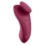 Satisfyer Sexy Secret Panty Vibe w APP