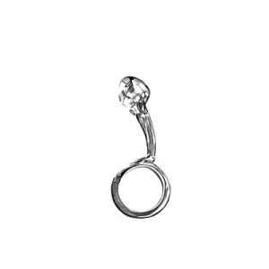 Stainless Steel Anal Probe Pull Ring