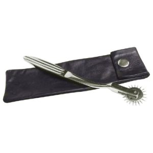 KinkLab Wartenberg Pinwheel